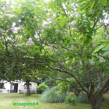 Les Sapins Hotell