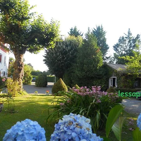 Les Sapins Hotell